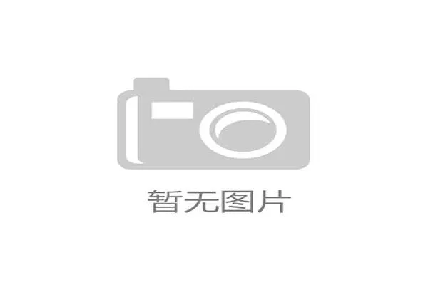 体育训练营与商业活动填充赛事空窗期资源